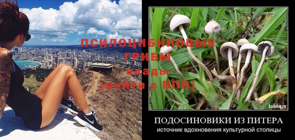 ГАЛЛЮЦИНОГЕННЫЕ ГРИБЫ Верхний Тагил