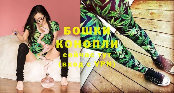 ПСИЛОЦИБИНОВЫЕ ГРИБЫ Богородск