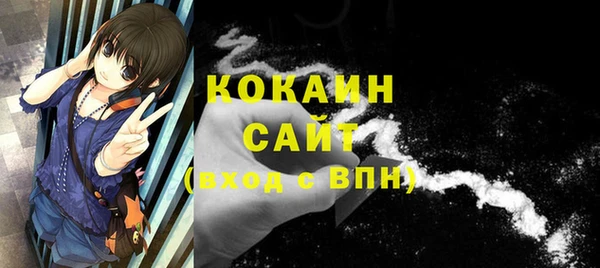 ПСИЛОЦИБИНОВЫЕ ГРИБЫ Богородск